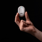 Quell Collector's Edition